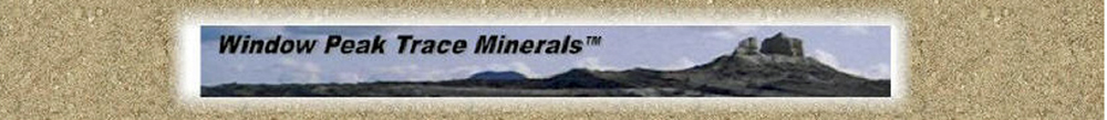 header original smaller