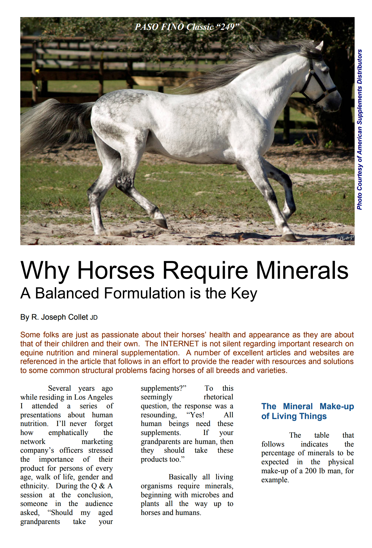 Why horses1